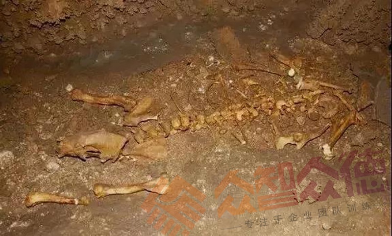 亚洲午夜成人满18免费网站