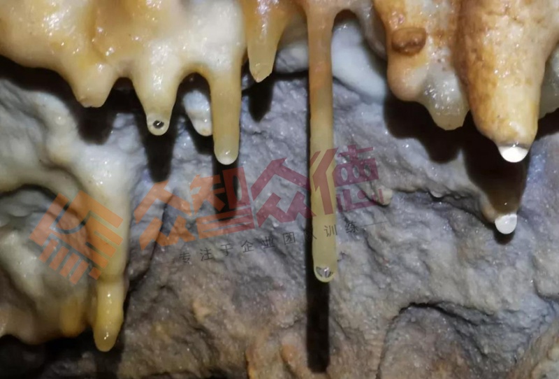 亚洲午夜成人满18免费网站