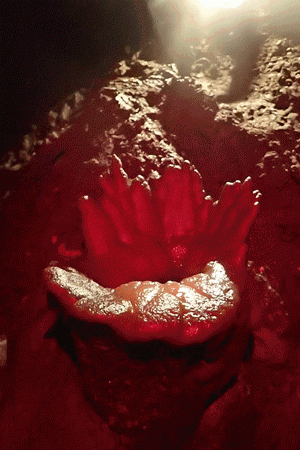 亚洲午夜成人满18免费网站