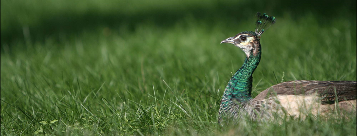 亚洲午夜成人满18免费网站